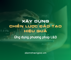 Chiến lược đào tạo